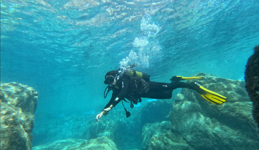 Diving in Playa Blanca & Puerto del Carmen